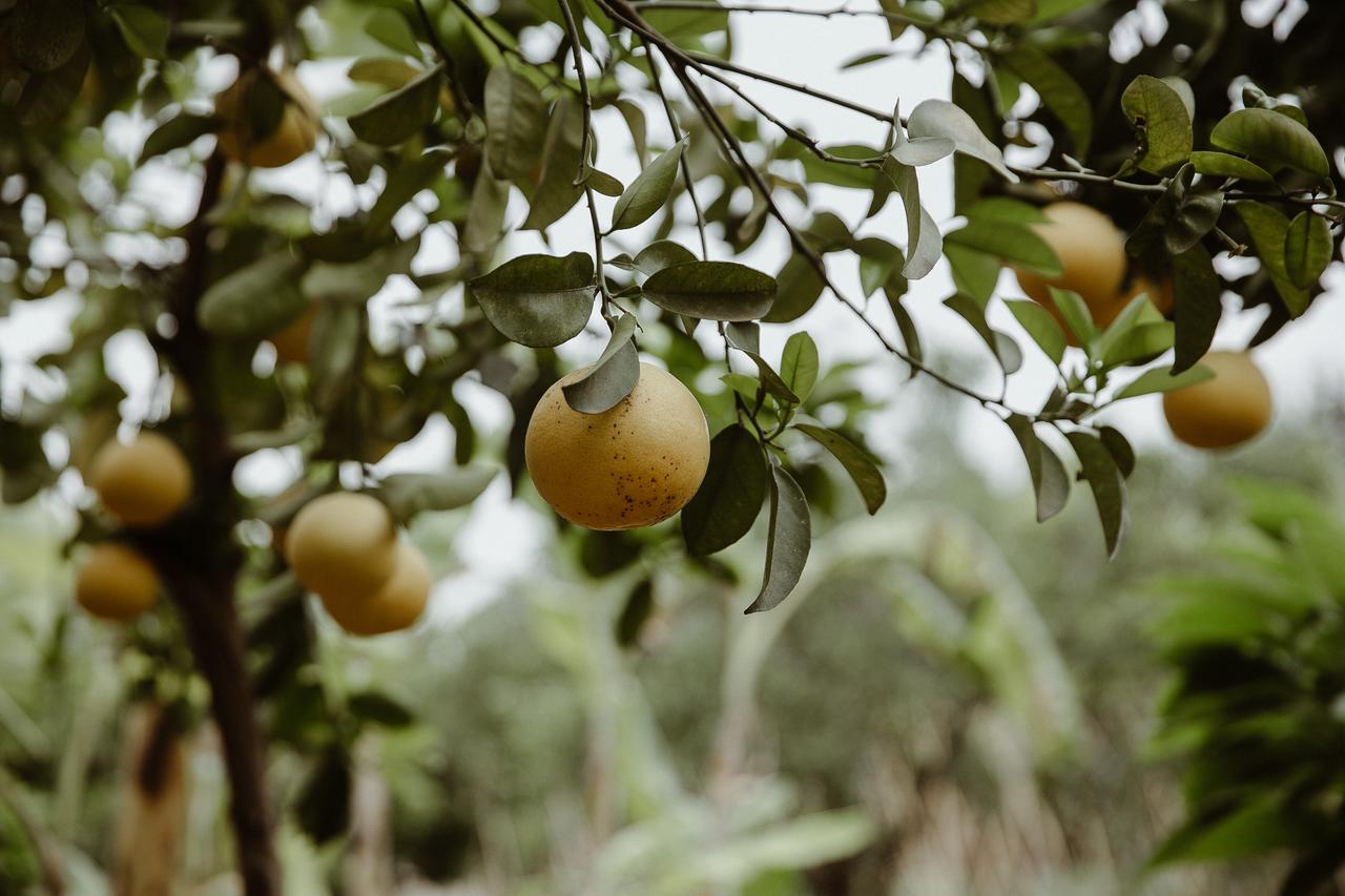 לינה וארוחת בוקר Lahebichate Le Bled Ferme מראה חיצוני תמונה